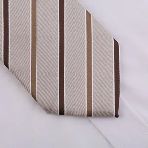 Cravatta con Zip a Righe Champagne per Uomo Affari Formale Matrimonio Sposo Cravatta Moda Accessorio di Abbigliamento