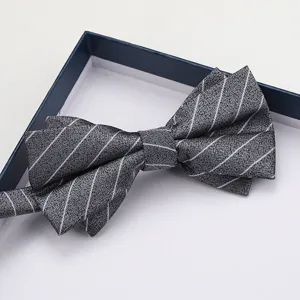 Dettaglio farfallino grigio a righe, elegante accessorio formale maschile in scatola.