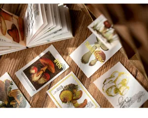 Notas adhesivas doradas botánicas vintage papelería estética bloc de notas scrapbooking papel