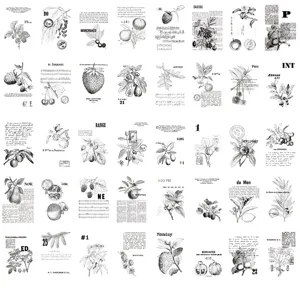 Vintage botaniko diaphanes yliko charti gia DIY journaling kai art scrapbooking.