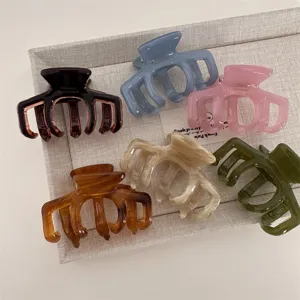 Ensemble de pinces à cheveux en acétate couleur gelée taille moyenne pince élégante