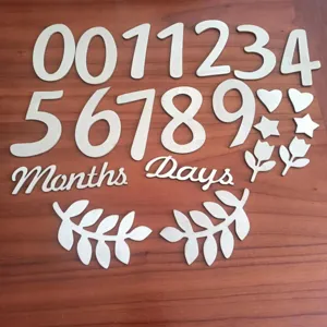Wooden Baby Monthly Milestone Sign Set Newborn Photography Props Month Day Number Wooden Letters Decor