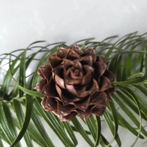 Natuurlijke dennenappel detailfoto, perfect voor kerst feestelijke sfeer en huisdecoratie.