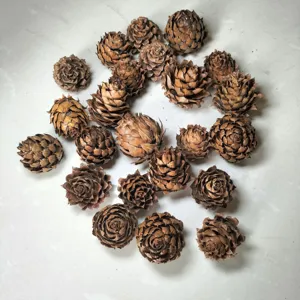 Gedetailleerd overzicht van natuurlijke dennenappels voor rustieke kerstdecoratie.