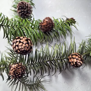 Gedetailleerd aanzicht van natuurlijke dennenappels en groen dennenloof voor kerst.
