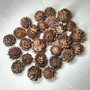 Natuurlijke dennenappels voor kerstdecoratie, rustieke herfst winter huisdecoratie.