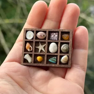 Miniales hölzernes Schmuckregal mit winzigen Muscheln, ideal für Miniaturvitrinen und Sammler.