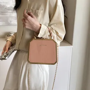 Elegant pink box shoulder bag with chic gold metal frame and stylish chain strap for women.