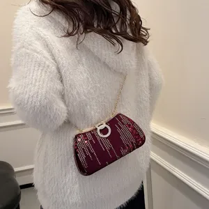 Elegant sequin evening bag with chain strap for women party crossbody bag back view.