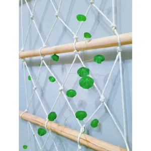 Bohemian macrame plant climbing trellis with wooden rods and green leaves, detail view