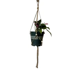 Details van handgemaakte jute touw plantenhanger, natuurlijke geweven mand met pot.