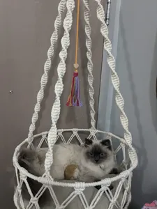 Handmade macrame cat hammock detailed view, bohemian hanging pet bed for indoor use.