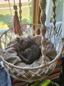Handmade macrame cat hammock bohemian hanging pet bed with cushion and tassel for indoor cats