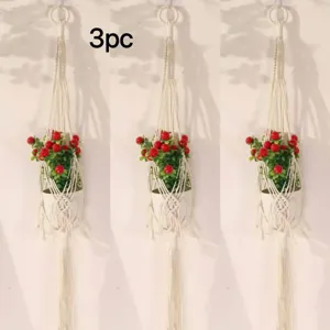 Handgemaakte macramé plantenhanger detail met rode bessen bloempot voor binnenmuur tuindecor