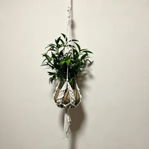Macrame plantenhanger katoenen touw hangmand voor bloempotten wanddecoratie interieur