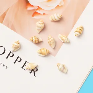 Natural seashell beads for DIY jewelry making, charm handmade bracelets and necklaces.
