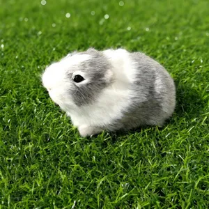 Peluche di porcellino d'India simulato modello animale simpatico decorazione auto casa