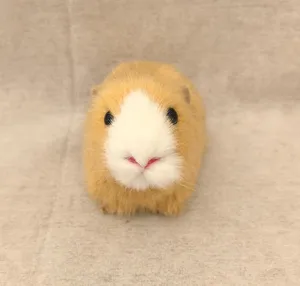 Simulazione porcellino d'India peluche animale modello auto decorazione interna ornamento
