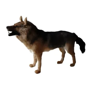 Detailed close-up of simulation wolf dog plush model, realistic fur texture and design.