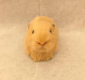 Primo piano dettaglio di simulazione porcellino d'india modello animale peluche auto