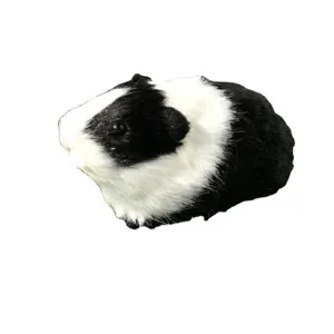 Simulazione Porcellino d India Peluche Giocattolo Animale Realistico Decorazione Auto
