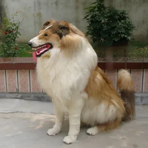 1:1 Mεγάλο Ομοίωμα Σκύλου Collie Στατικό Μοντέλο Βιτρίνας Διακοσμητικό Αντικείμενο
