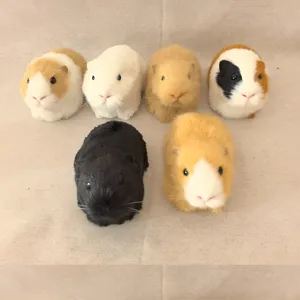 Realistische Meerschweinchen Plueschtiere, suesse fellige Tiermodelle fuer Kinderzimmer Deko