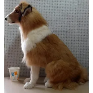 Realistic Collie dog plush model, simulated animal specimen teaching prop, 46cm height.