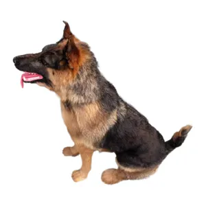 Lifelike German shepherd dog plush model large ornament simulation animal decor figure