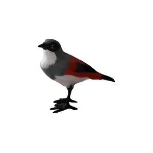 Kunstmatige veren vogel ornament bureau decor tuin landschap shrike beeldje ambacht