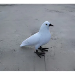 Weisse Simulation Taube Feder Vogel Modell Ornament Nahaufnahme Detailansicht Heimdekor