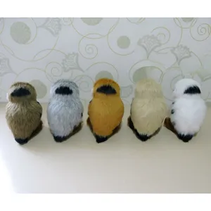 Set van vijf kleurrijke uil pluche beeldjes, gedetailleerd aanzicht van achteren.