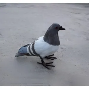 Realistische künstliche Taube Figur gefiederte Vogel Deko Modell für Zuhause Display