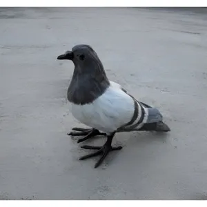 Lebensechte Taube Vogel Modell Feder Ornament fuer Heimdekoration und Unterricht.