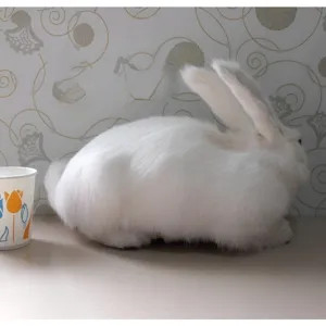 Closeup view of fluffy white simulation rabbit plush toy ornament for home decor and props.