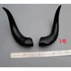 Large black simulation animal horns prop for Halloween stage performance and decoration display.