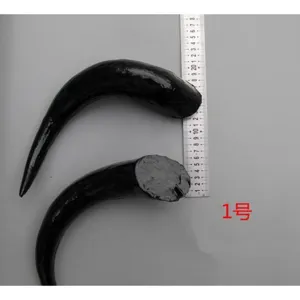 Large black simulation animal horns costume props for Halloween stage party decoration setup.