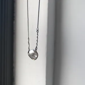 Nahaufnahme der einzigartigen unregelmäßigen Meteoritenanhänger Halskette mit feiner Kette.