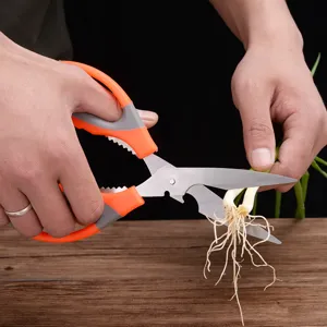 Multi-functional kitchen scissors with ergonomic grip and stainless steel blade for home use.