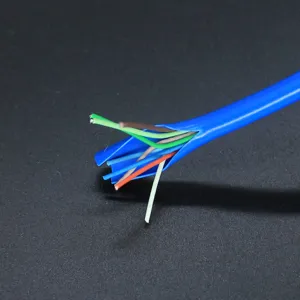Vue détaillée de la structure interne multicœur du câble réseau haute vitesse pour routeur