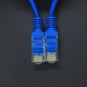 Vue détaillée du connecteur RJ45 de câble réseau avec manchon bleu et contacts.