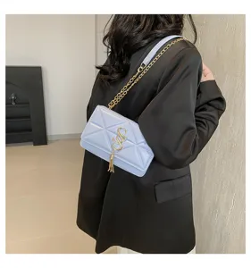 Women light blue quilted chain shoulder bag fashion small square crossbody bag stylish daily.