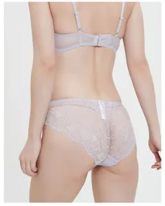 Women sexy lace sheer brief and matching bra set, mid-waist breathable mesh undergarment.