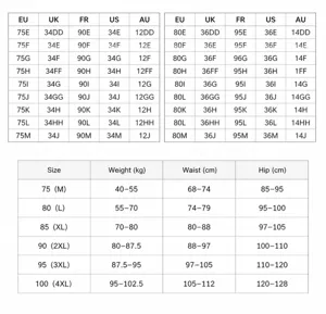 Detailed size chart for plus size bra and panties set, showing international measurements.