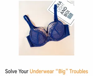 Vista ravvicinata dettagliata del elegante reggiseno in pizzo francese in blu reale.