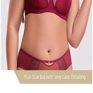 Plus-size maroon bra and panty set with delicate lace detailing for comfort and support.