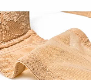 Plus size full cup bra detail shot, nude mesh and lace breathable gathering undergarment for women.