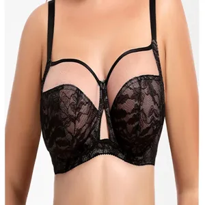 Plus size lace bra detail showcasing full cup design, sheer mesh panel, and comfortable wide straps.