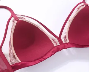 Franse kanten beugeloze push-up bh sexy lingerie gedetailleerde weergave wijnrood