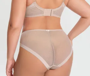 Plus size breathable mesh bra and matching panties set back view showing detailed design